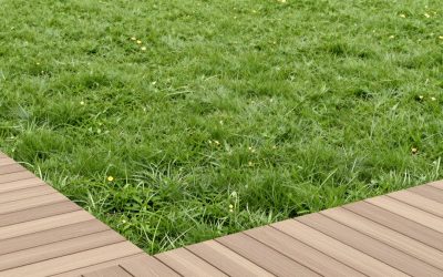 Best Battery Powered Lights for Outdoor Creators: Compared and Ranked: 8 Compared (2026)